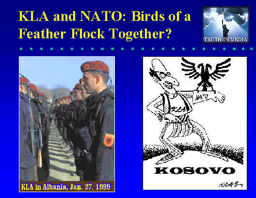 wpe2C.jpg (41461 bytes)