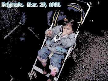 wpe95.jpg (17681 bytes)