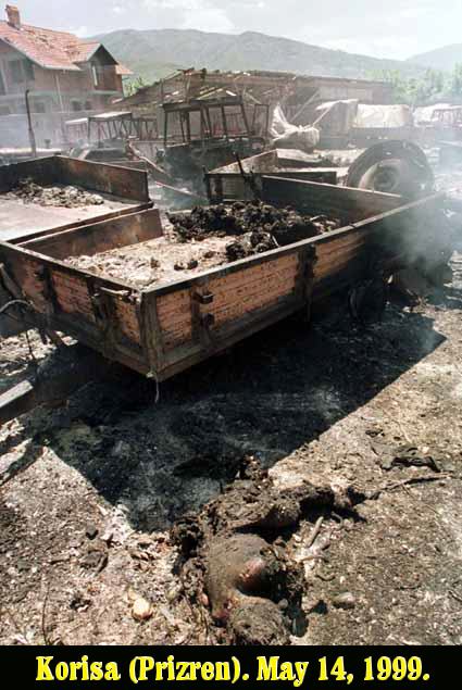 31.jpg (62872 bytes)