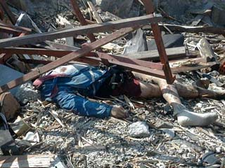 zlatib-1.jpg (35285 bytes)