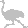 ostrich.gif (1276 bytes)
